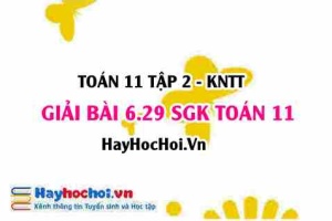 Bài 6.29 SGK Toán 11 Tập 2 Kết nối tri thức